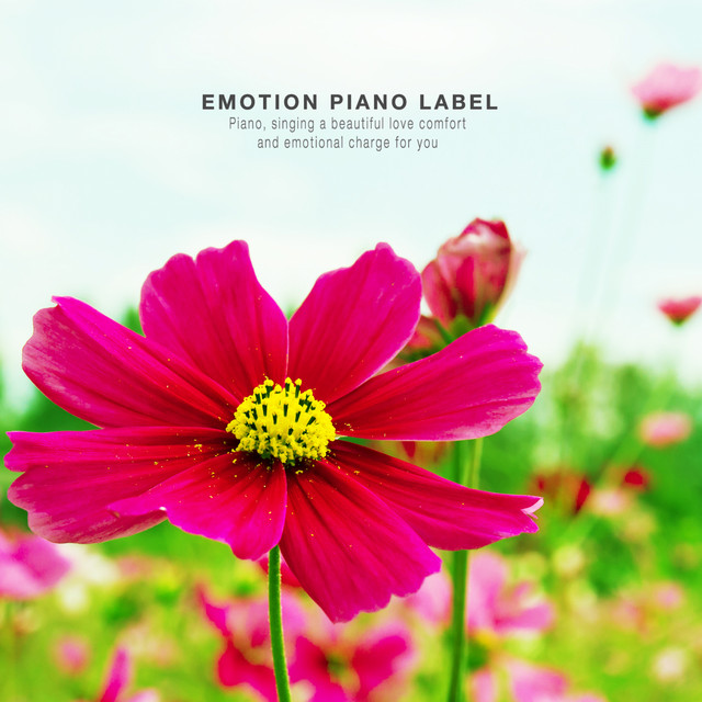 Nighttime sleeping piano therapy - Compilation by Various Artists | Spotify