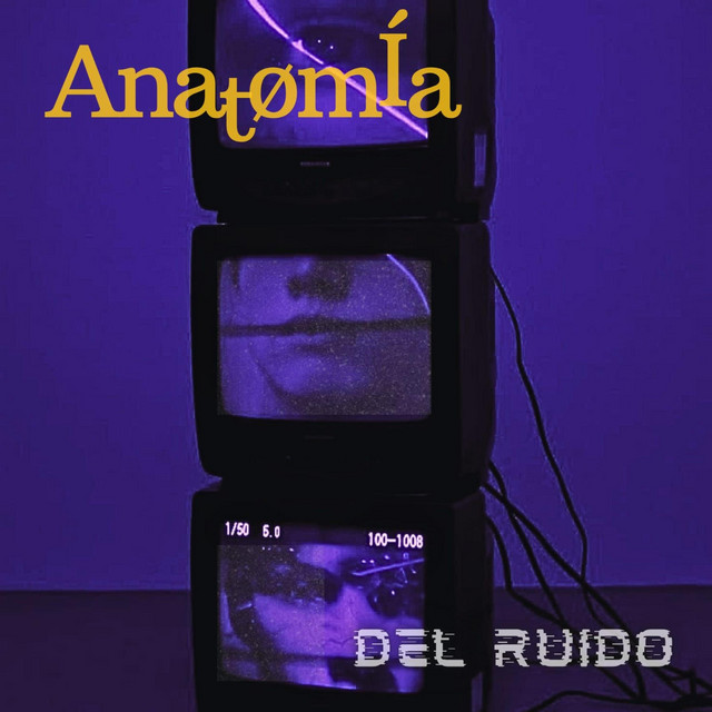 Anatomía del ruido