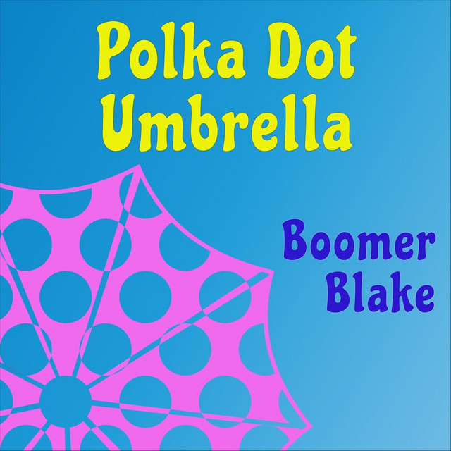 Polka Dot Umbrella cover