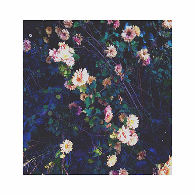 From Here // To Anywhere