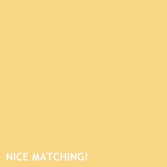 NICE MATCHING! cover