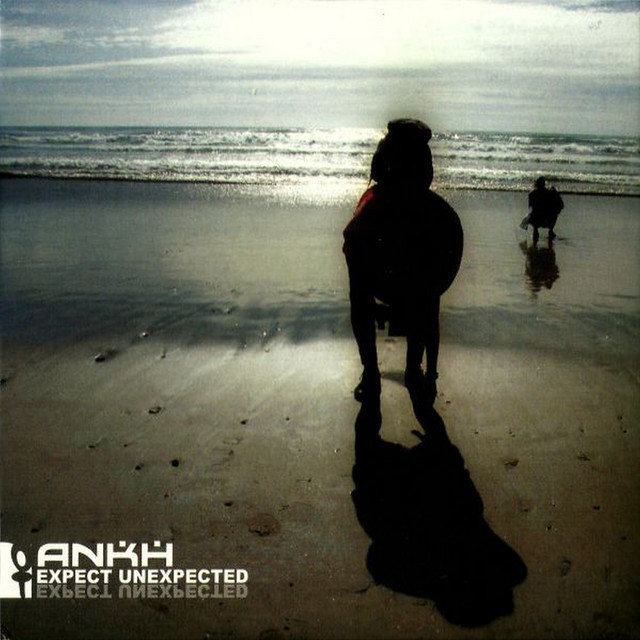 Expect Unexpected cover art