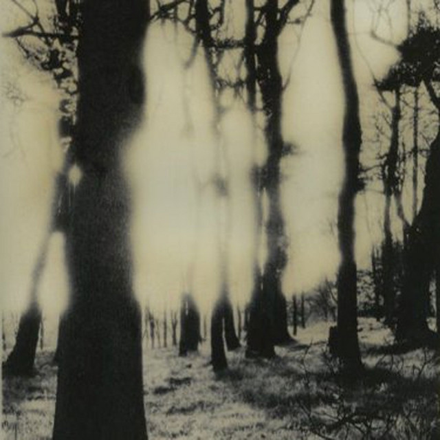 Confession cover art
