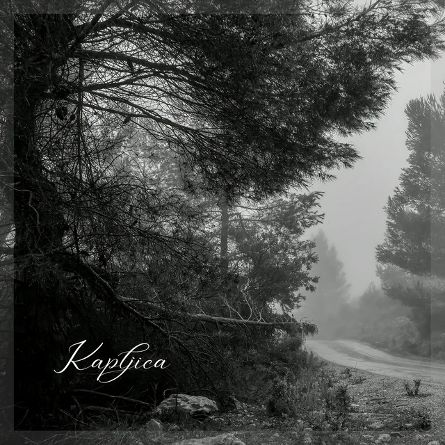 Kapljica by Alojz Pavic