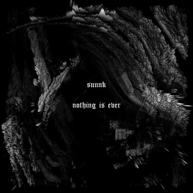 nothing is ever cover art