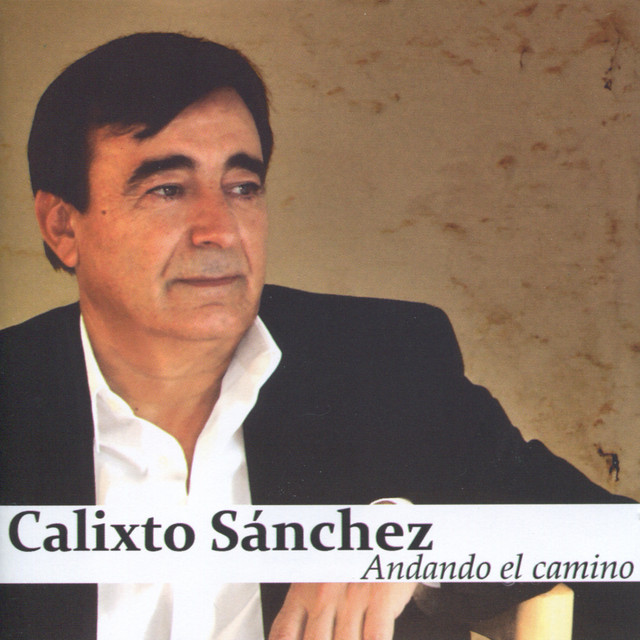 Andando el Camino cover