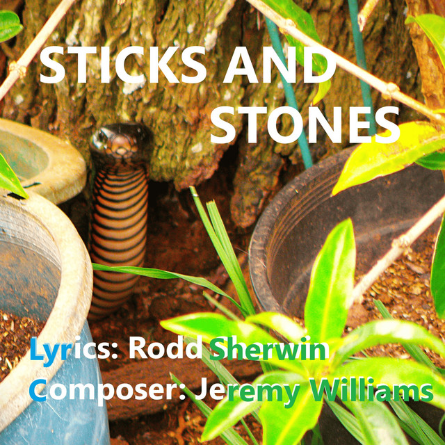 Sticks and Stones - Single by Rodd Sherwin | Spotify