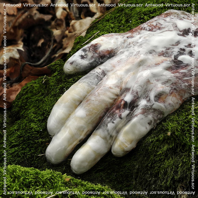 Virtuous.scr cover art