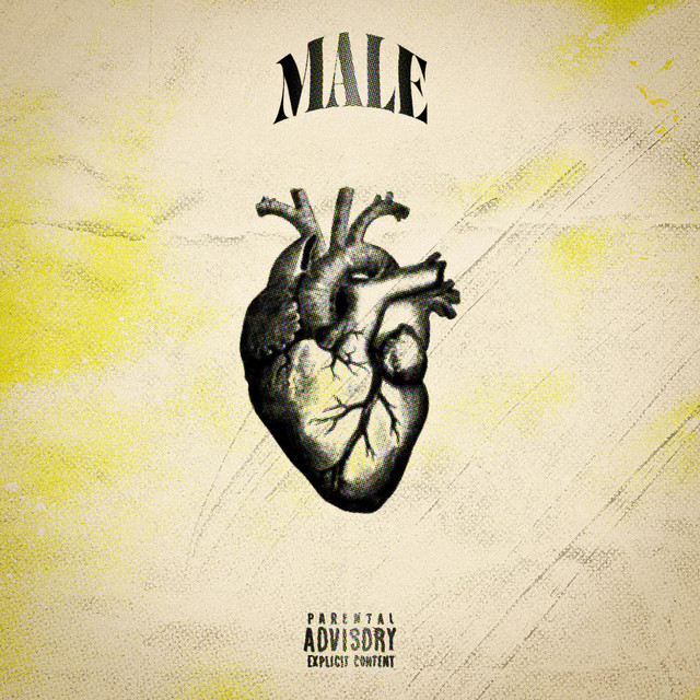 MALE