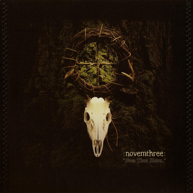 From These Ashes.. cover art