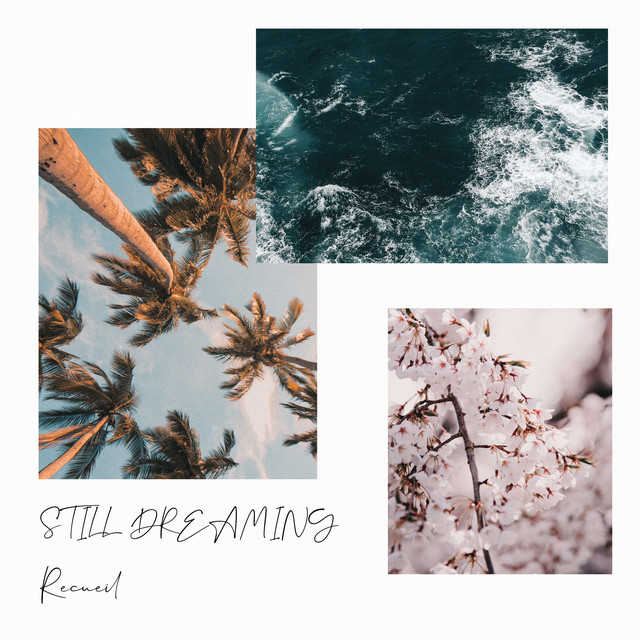 Still dreaming cover