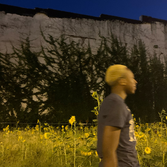 cant tell cover art