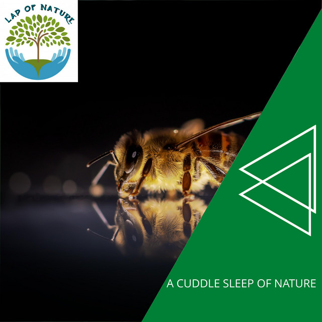 A Cuddle Sleep of Nature cover art