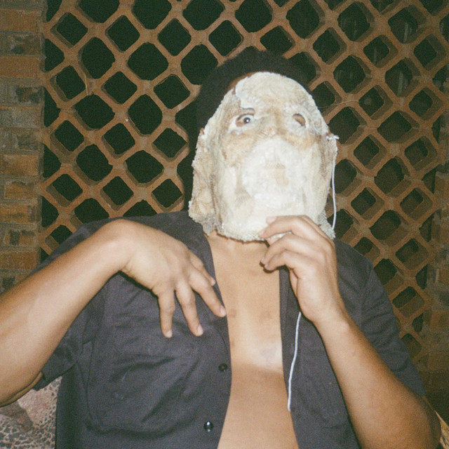 Wondering cover art