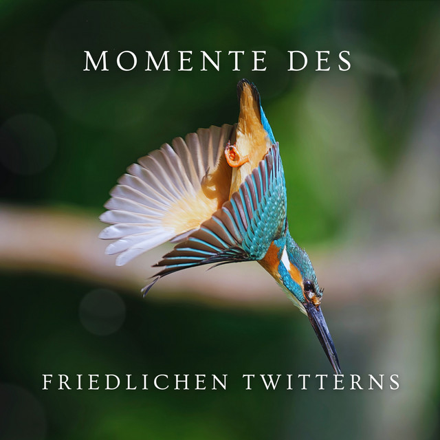 Momente des friedlichen Twitterns cover art
