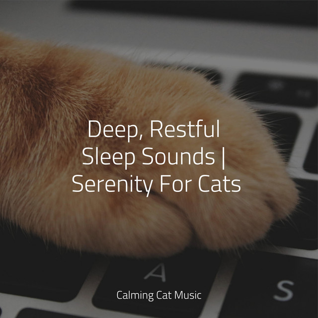 Deep, Restful Sleep Sounds | Serenity For Cats - Album by Cat Music ...