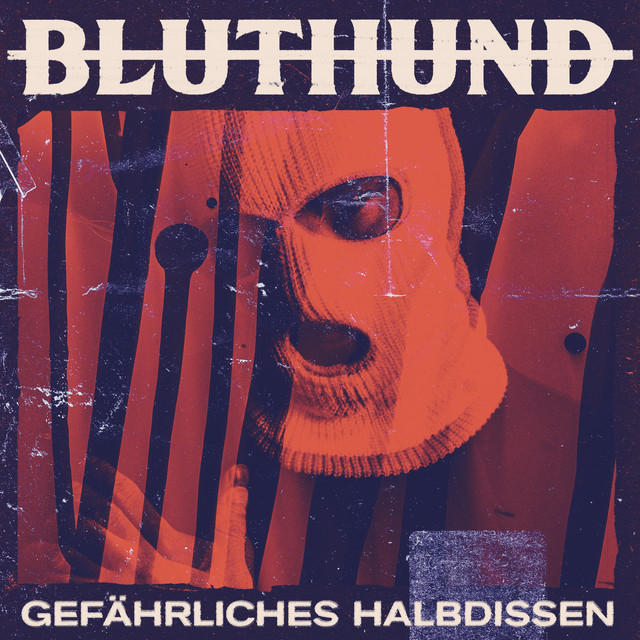 Gefährliches Halbdissen cover art