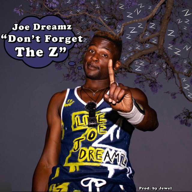 Don't Forget the Z cover art