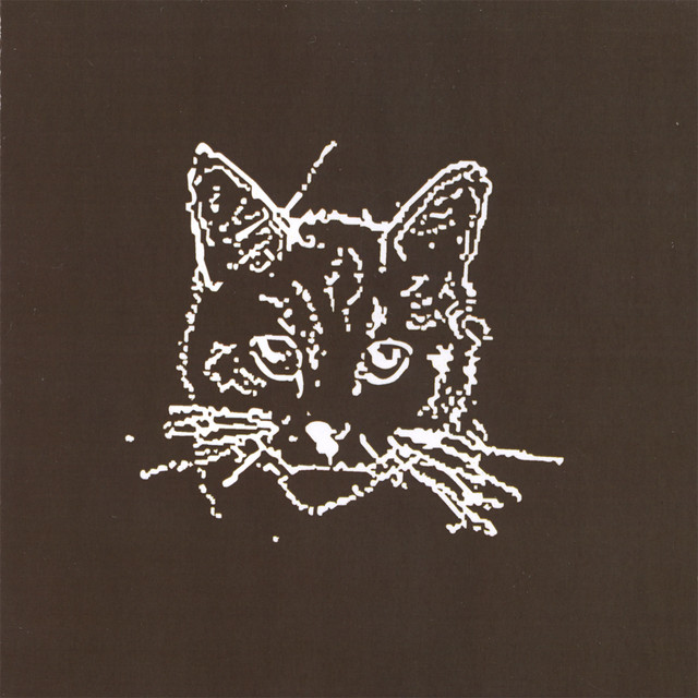 Calico cover art