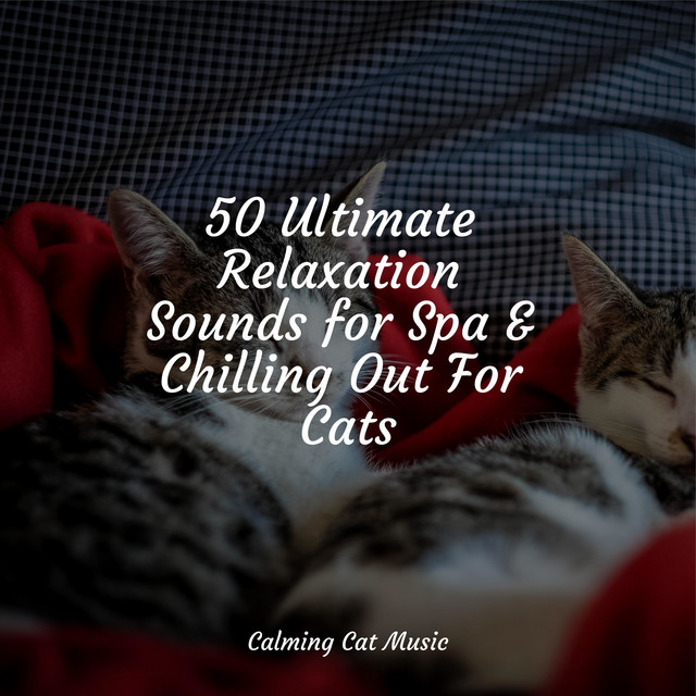 50 Ultimate Relaxation Sounds for Spa & Chilling Out For Cats - Album ...