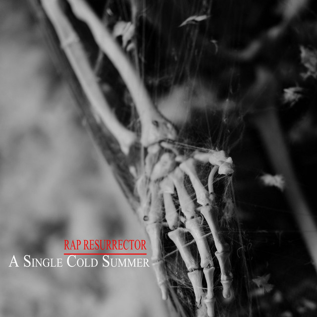 A Single Cold Summer cover art