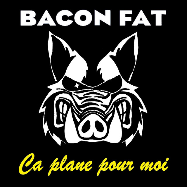Ca Plane Pour Moi cover