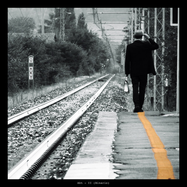 II (Binario) cover art