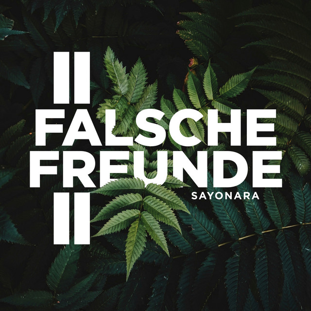 Falsche Freunde 2 cover