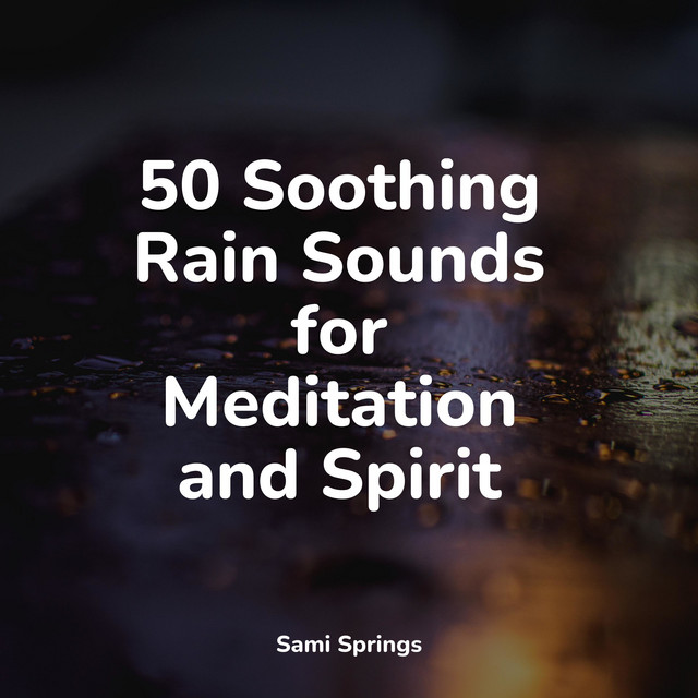50 Soothing Rain Sounds for Meditation and Spirit - Album by Sounds of ...