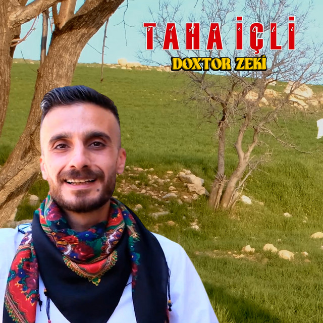 Taha İçli