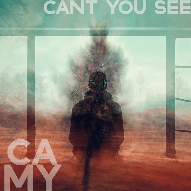 Can't You See cover art