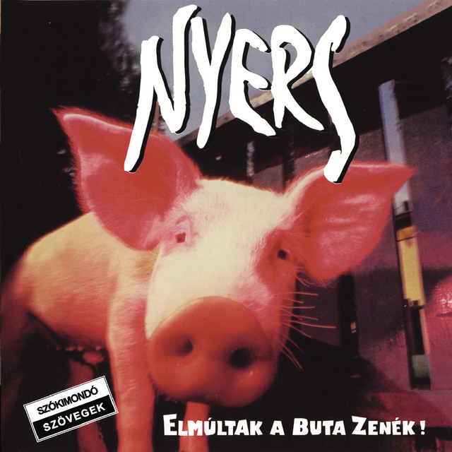 Elmúltak A Buta Zenék cover