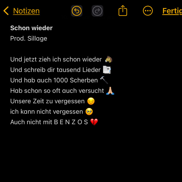 Schon wieder cover art