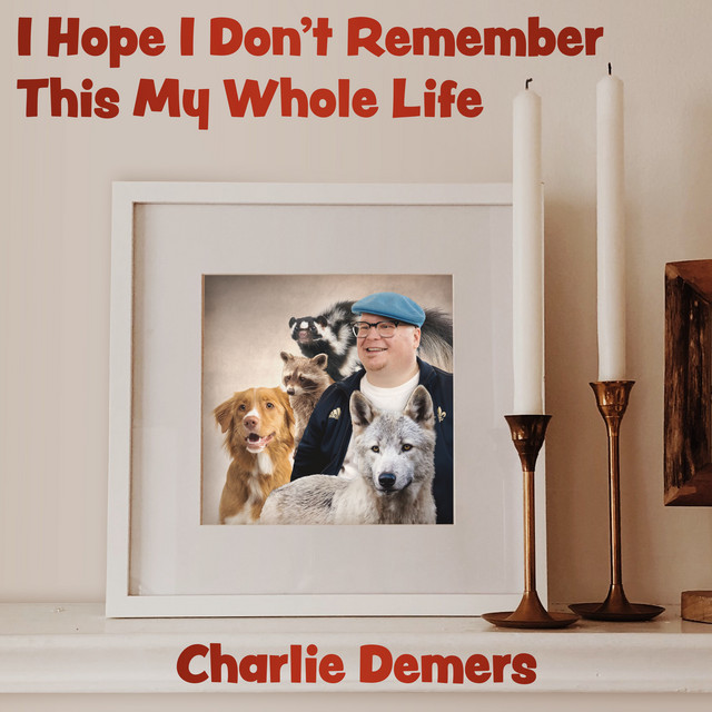 I Hope I Don't Remember This My Whole Life cover