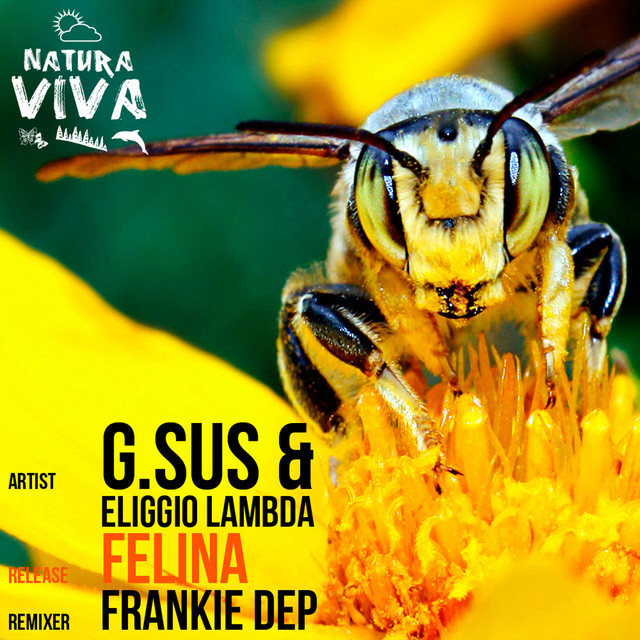 Felina cover art