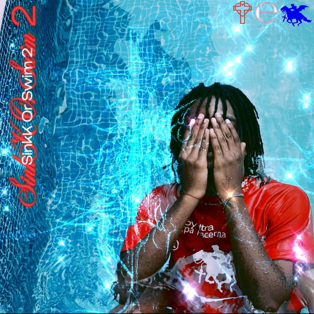 SINKK OR SWIM 2 cover art