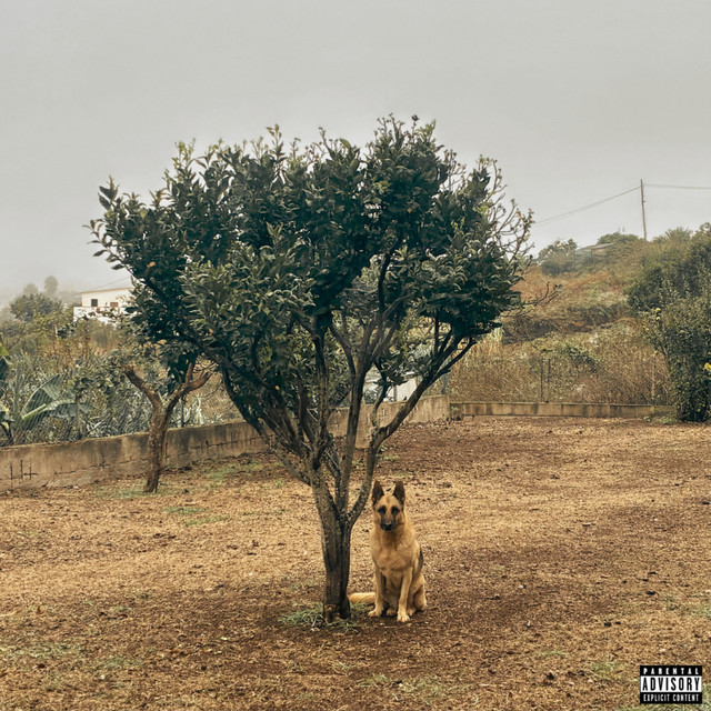 Cuando Vuelva cover art