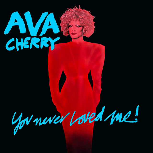 You Never Loved Me