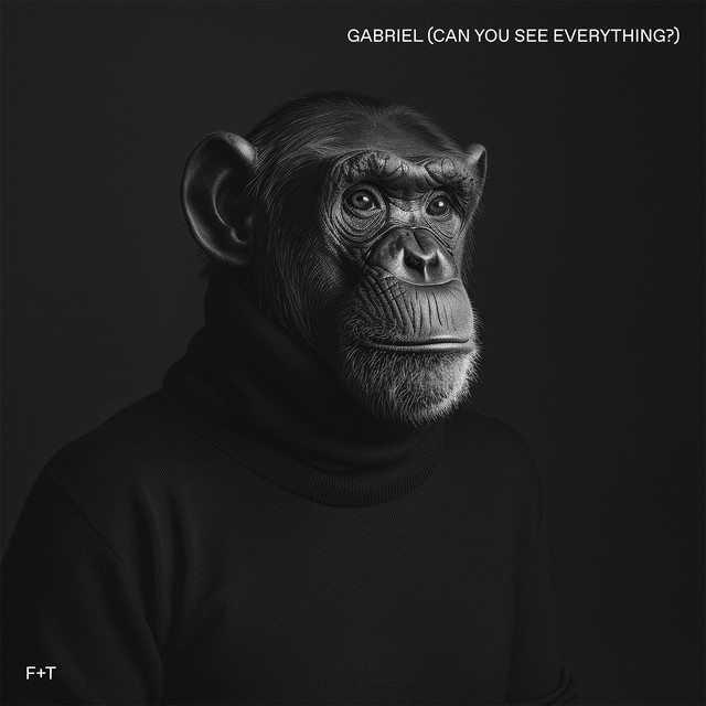 Gabriel (Can You See Everything?) album image