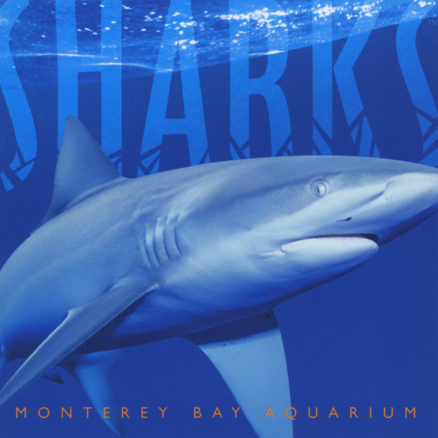 Sharks: Myth and Mystery cover art
