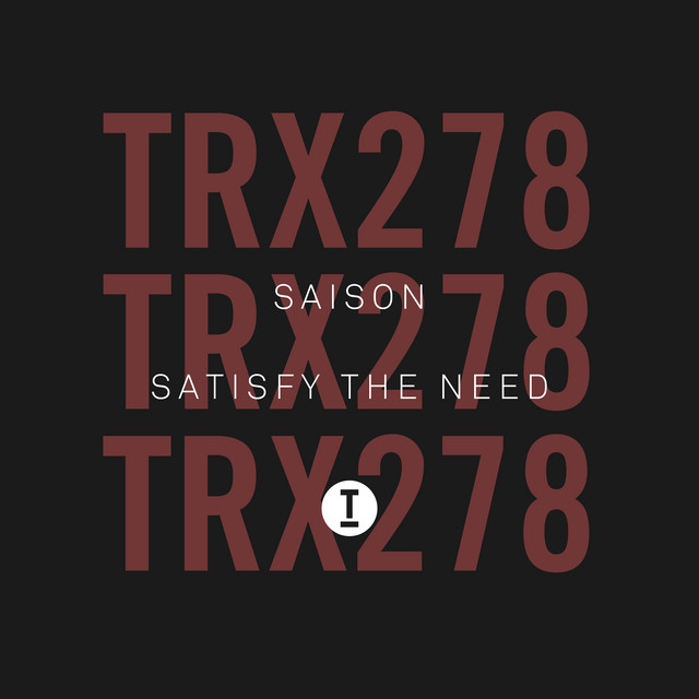 Satisfy The Need - Extended Mix album art
