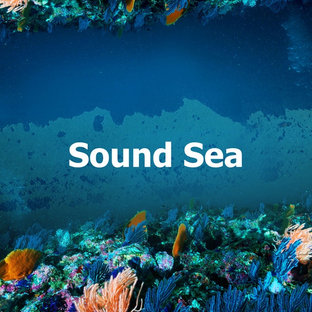 Sound Sea - Album by Ocean Sounds Collection | Spotify
