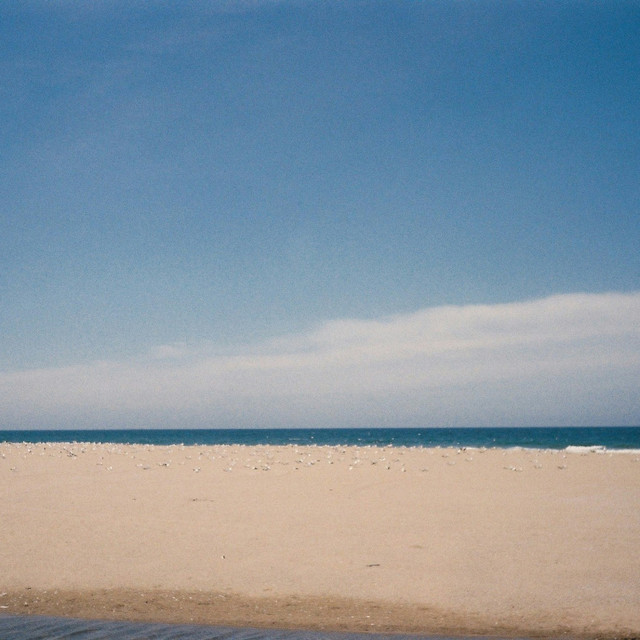 Summer Haze