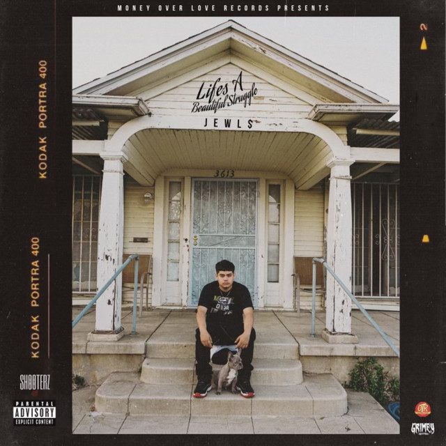 Lifes A Beautiful Struggle cover art