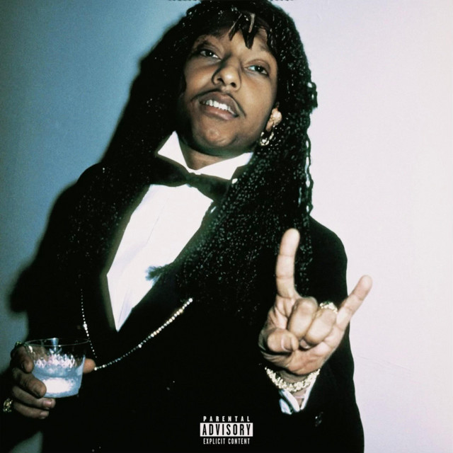 RICKJAMES cover art