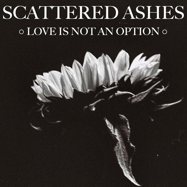 Love Is Not An Option cover