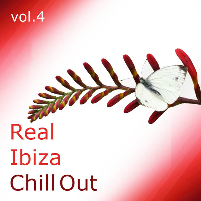 Real Ibiza Chill Out, Vol. 4 - Compilation by Various Artists