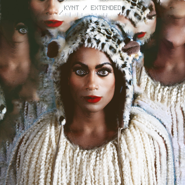 Extended (DJ Essential Mix Set) cover art