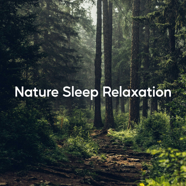 Nature Sleep Relaxation