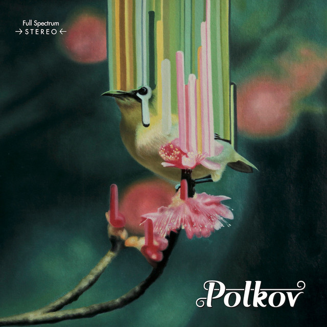 Polkov cover art